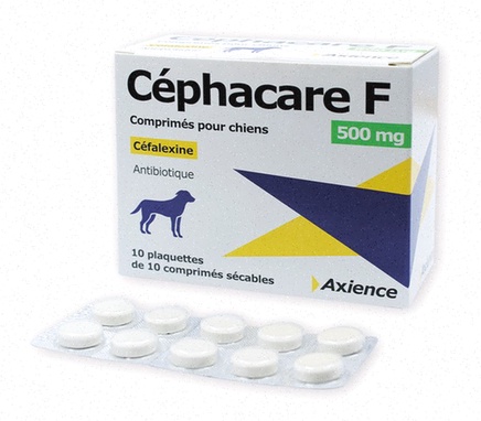 Acheter Cephalexin – boîte de comprimés et logo pharmacie