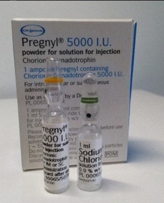 Acheter Pregnyl - Traitement hormonal hCG en ampoule
